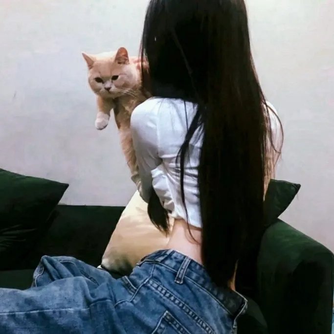 好莱坞医生